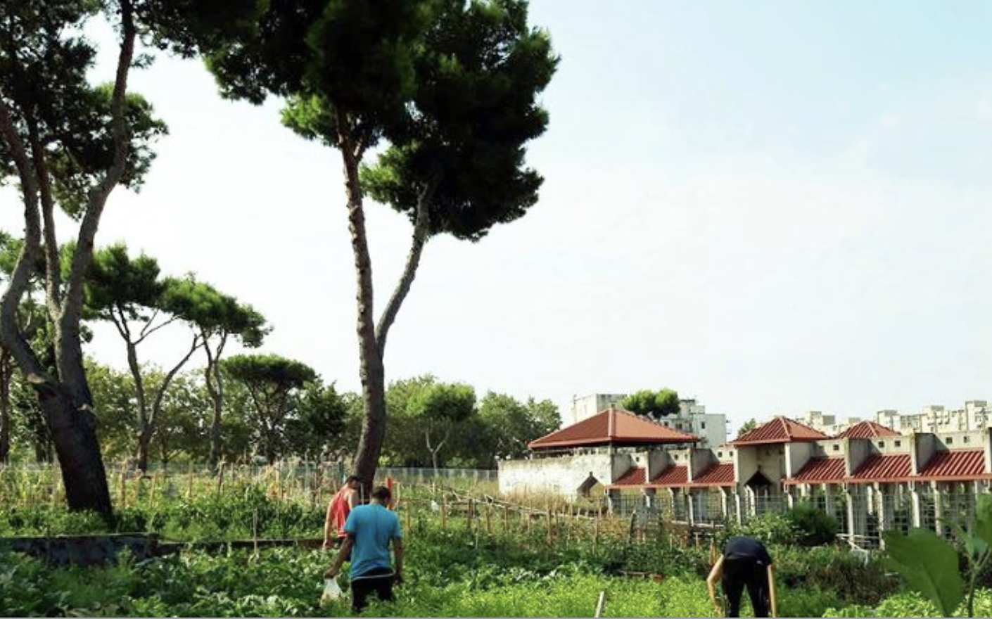 Un PolicyLab per Ponticelli